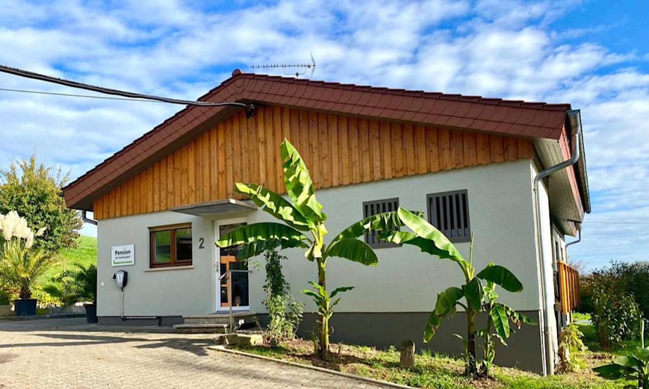 Dielheim Pension Am Hohberghof מראה חיצוני תמונה